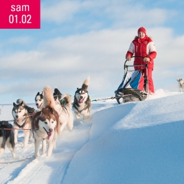 Sortie Chiens de traineaux du 01 février