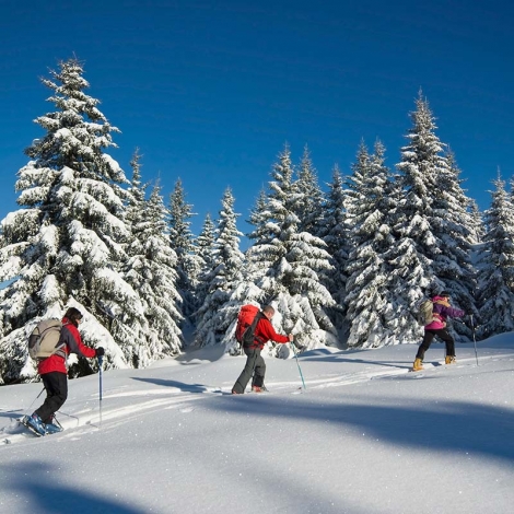 SLV Haut Doubs sortie Raquettes