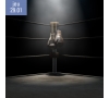 Spectacle Boxing Shadows Luxeuil les Bains