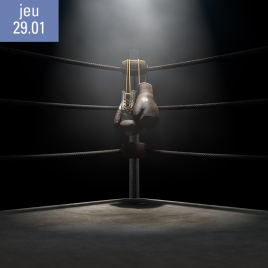Spectacle Boxing Shadows Luxeuil les Bains