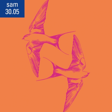 Spectacle « le Bal des oiseaux »