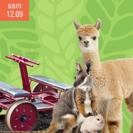 Journée vélorail et Parc animalier