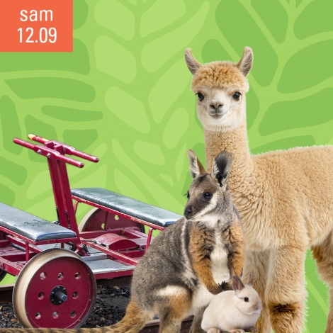 Journée vélorail et Parc animalier
