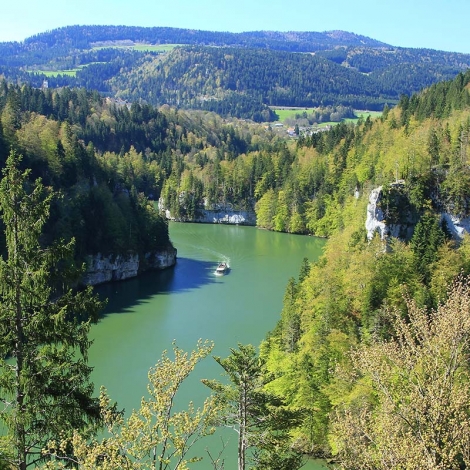 Découverte du saut du Doubs, en calèche, en bateau